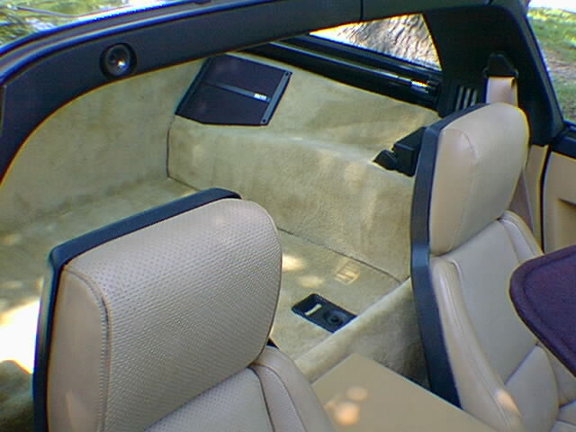 clean_interior_rear