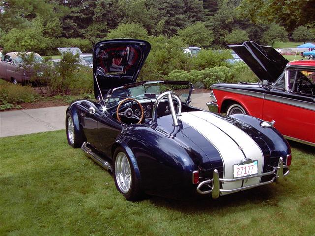 cobra_001_Small_