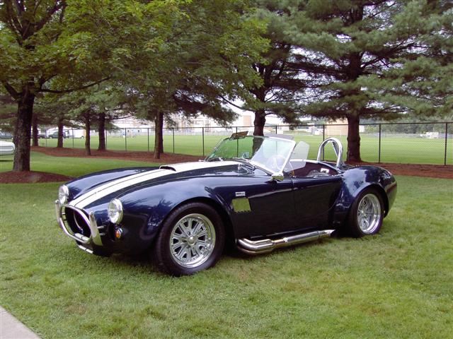 cobra_029_Small_