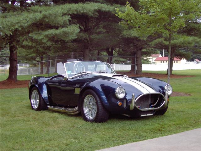cobra_031_Small_1