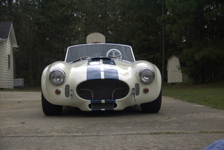 cobra_front4