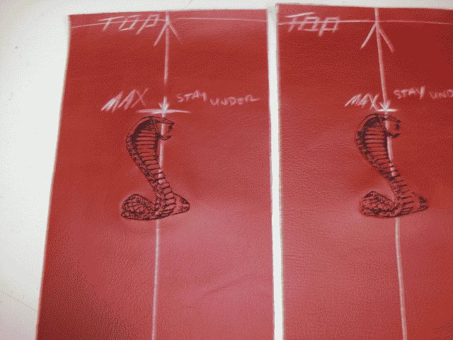 cobra_logo_seat_panel