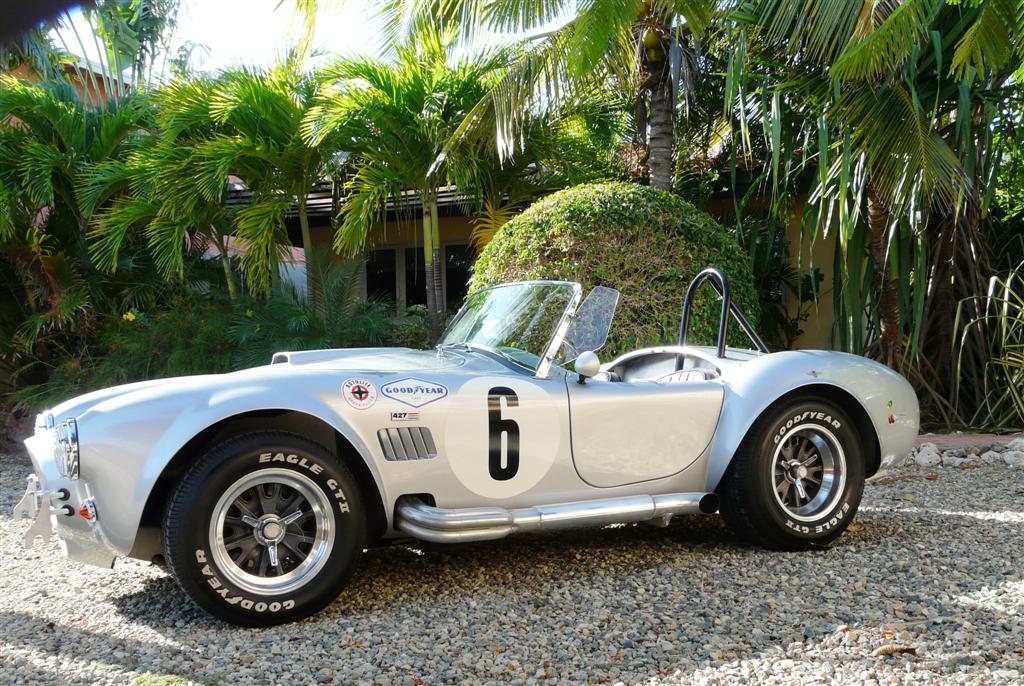 cobra_nieuw_001_Large_