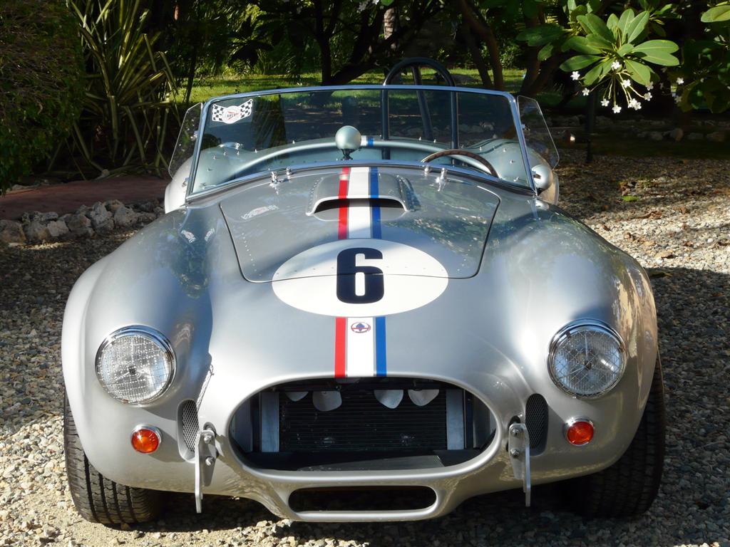 cobra_nieuw_020_Large_