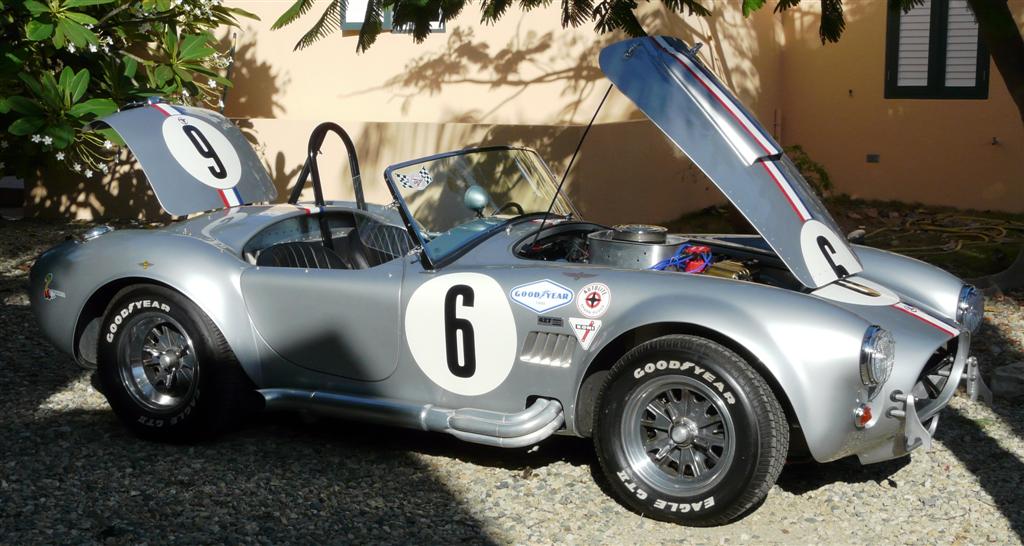 cobra_nieuw_052_Large_