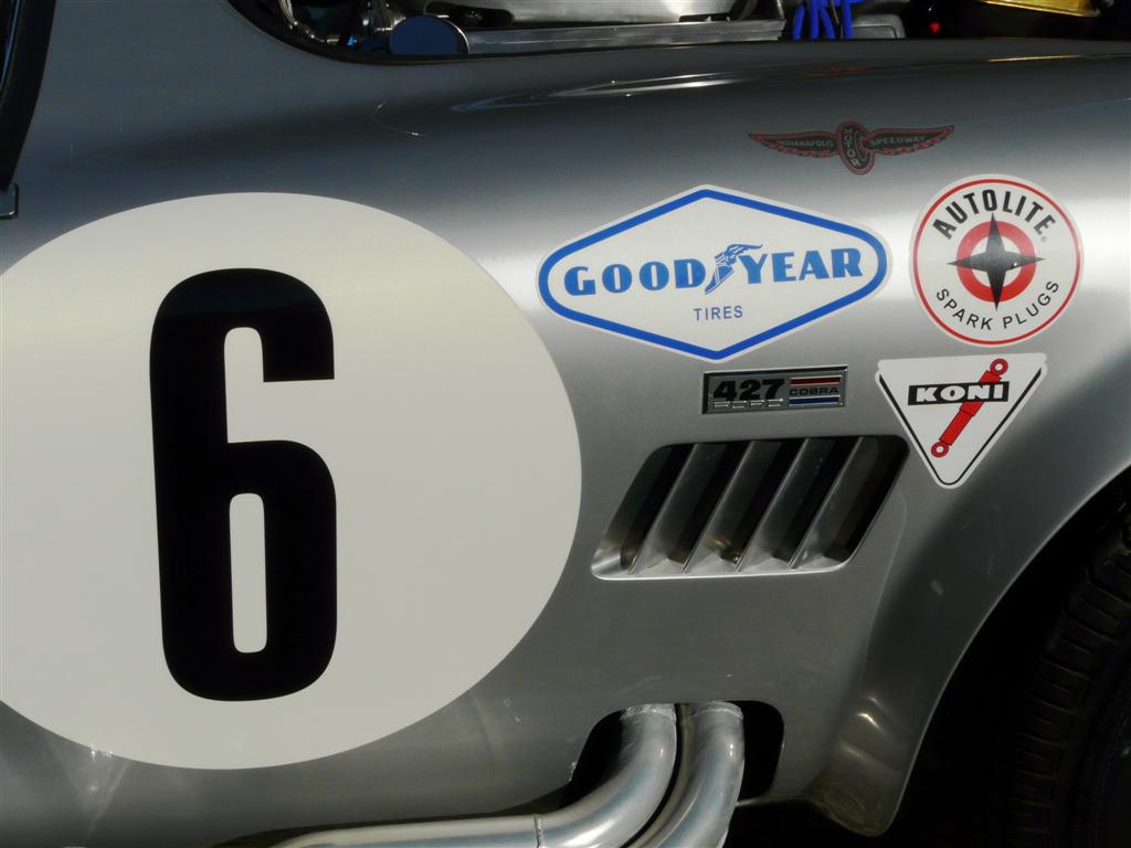 cobra_nieuw_053_Large_