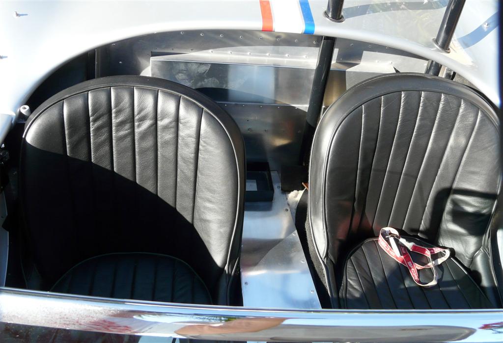 cobra_nieuw_062_Large_