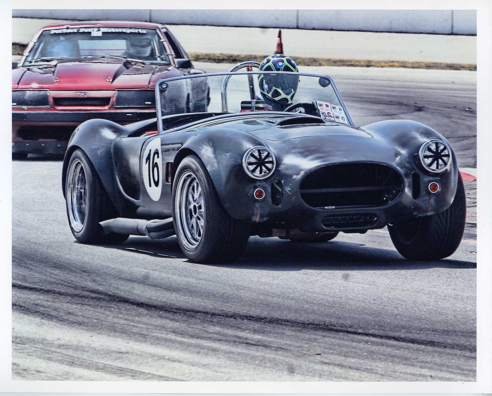 cobra_pic_2