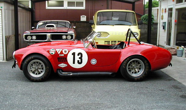 cobra_side_view_drivers_side