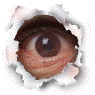 eyeinhol