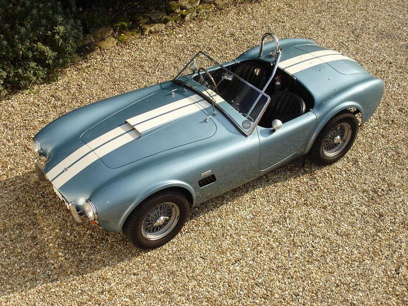 hawk_from_above_small