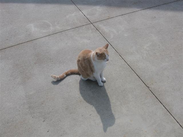 jbl_trunk_002_Small_