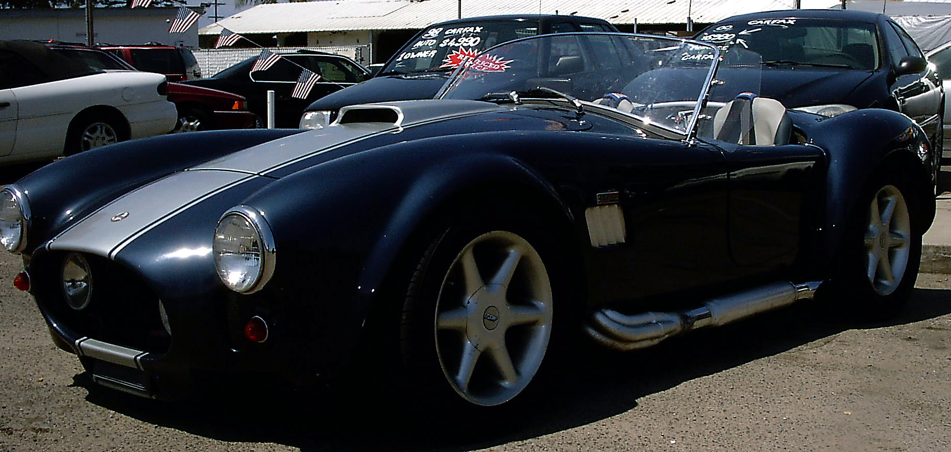 june_cobra_007_edited1