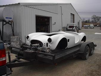 michaels_cobra_001_96