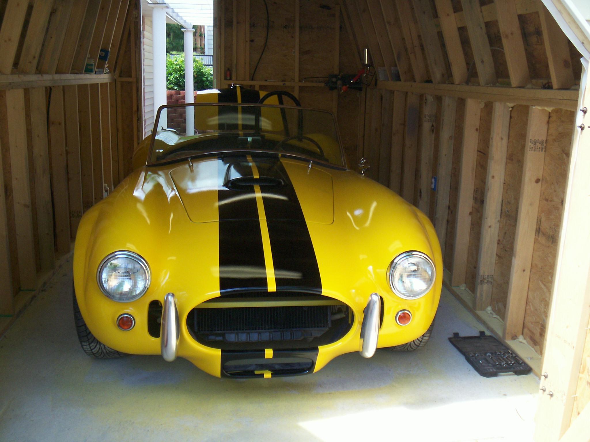 michaels_cobra_painted_1_002