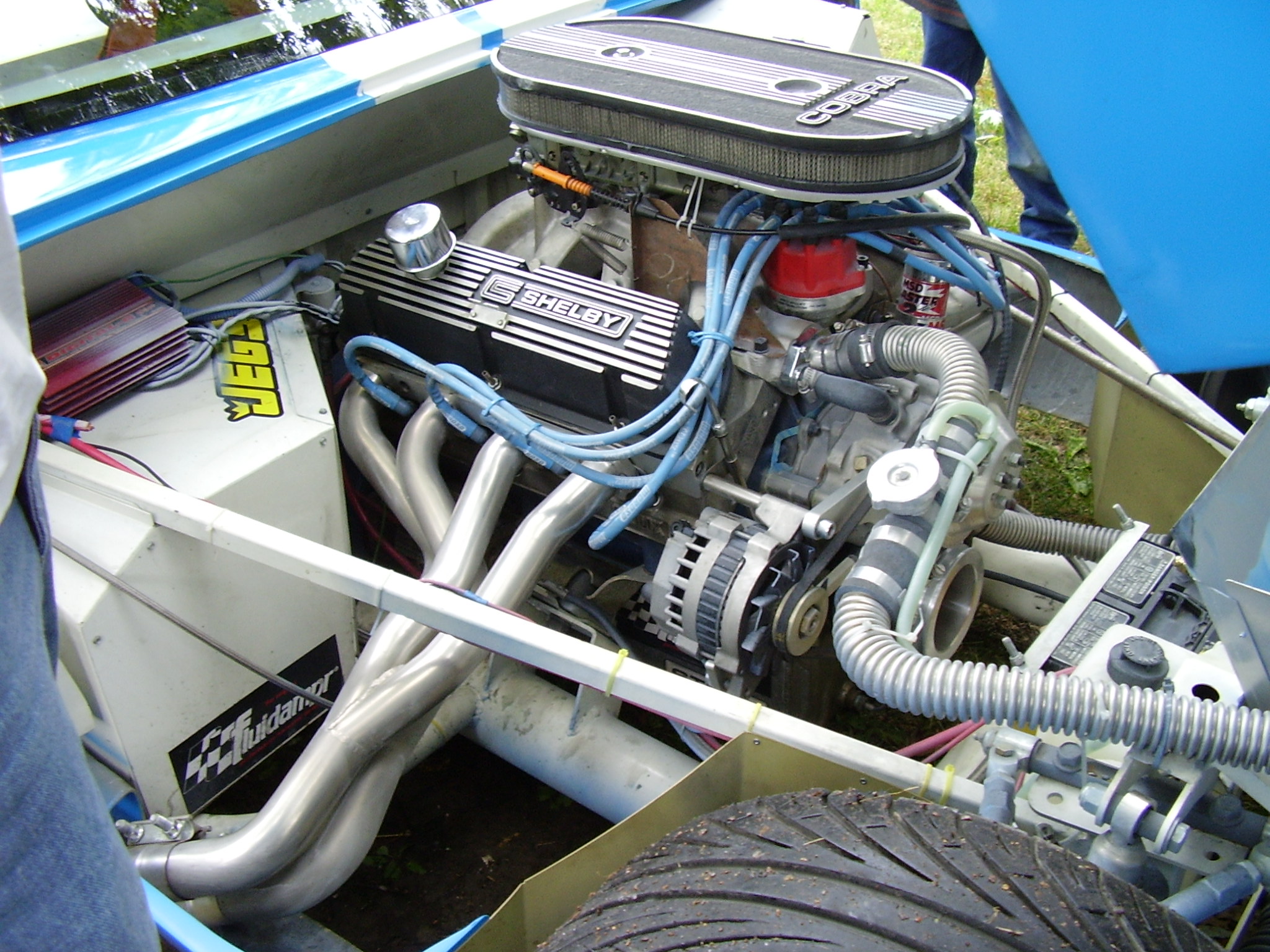 more_cobra_other_022