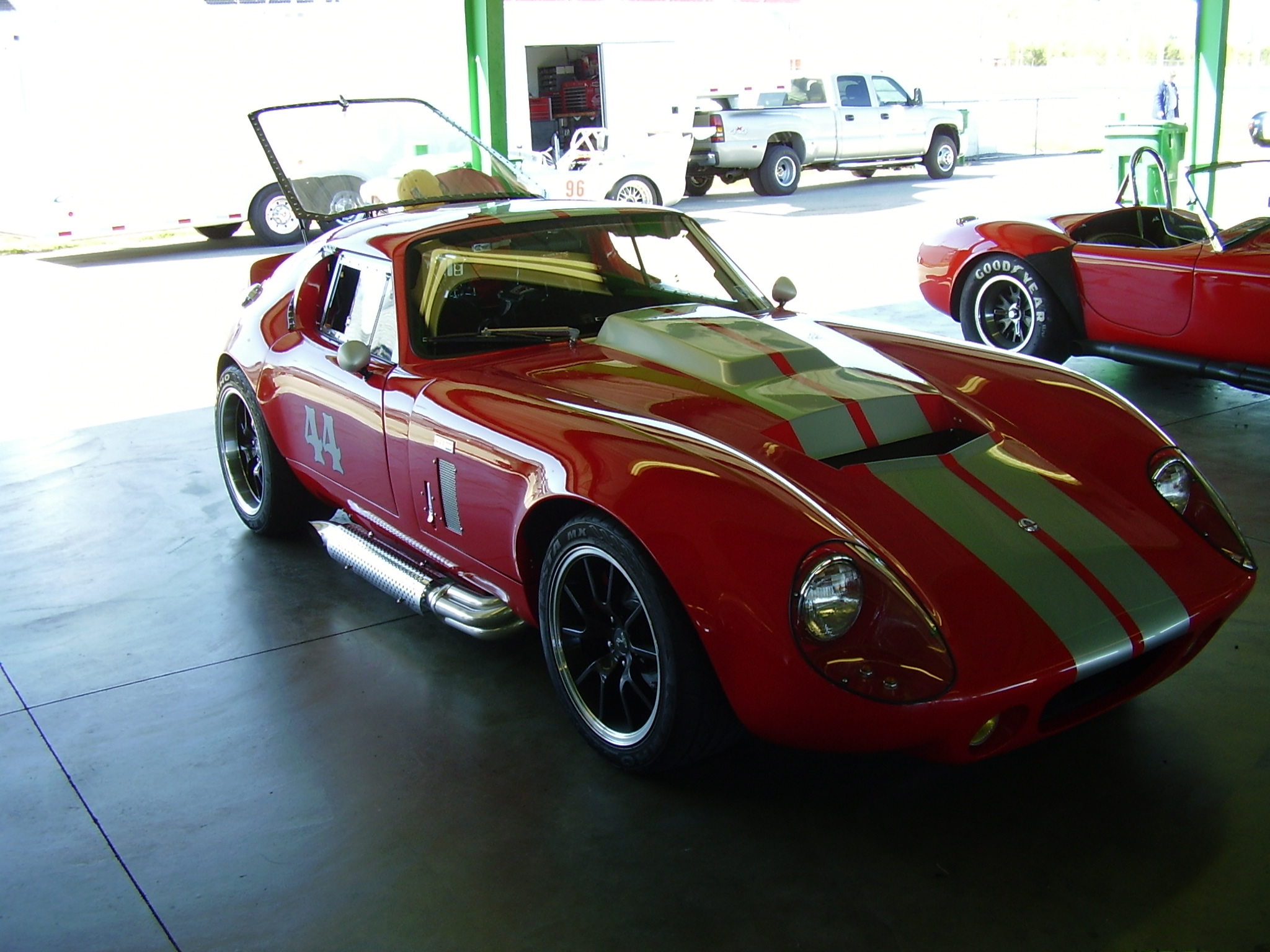 more_cobra_other_062