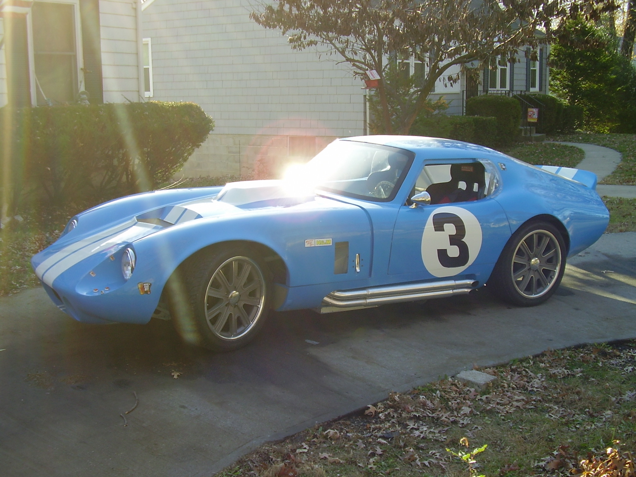 more_cobra_other_113