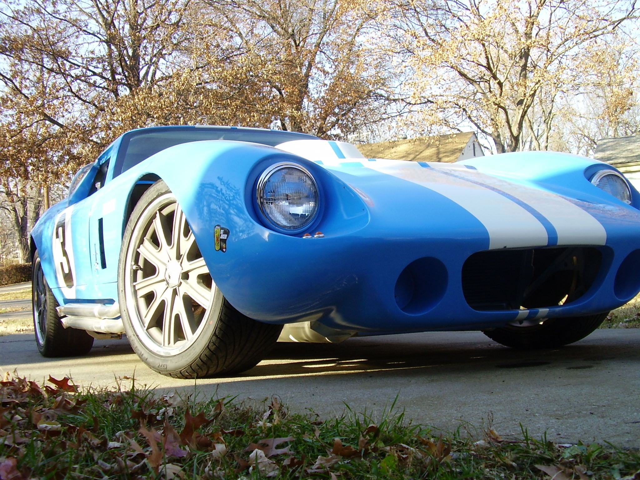 more_cobra_other_118