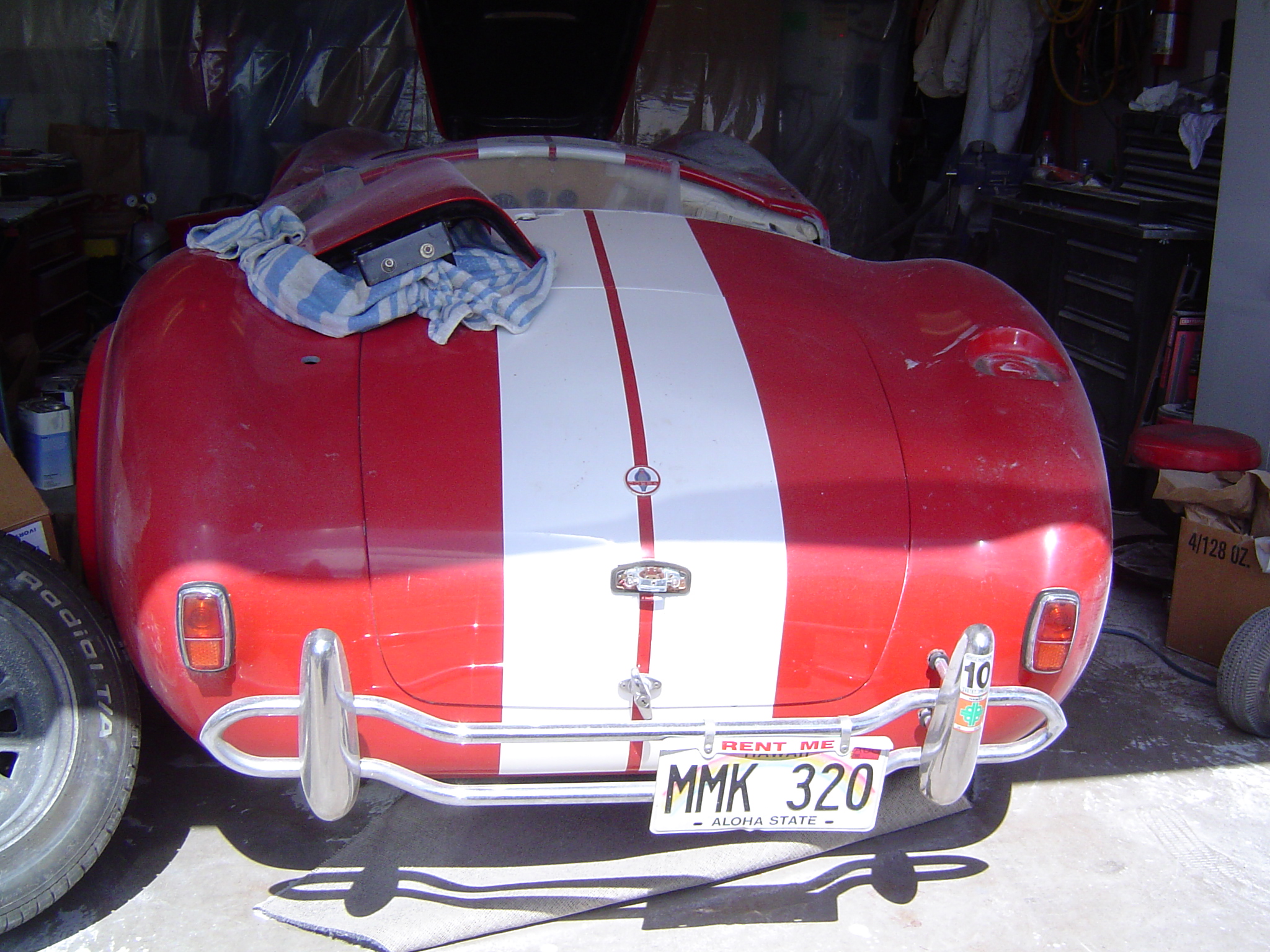 more_cobra_photos_001