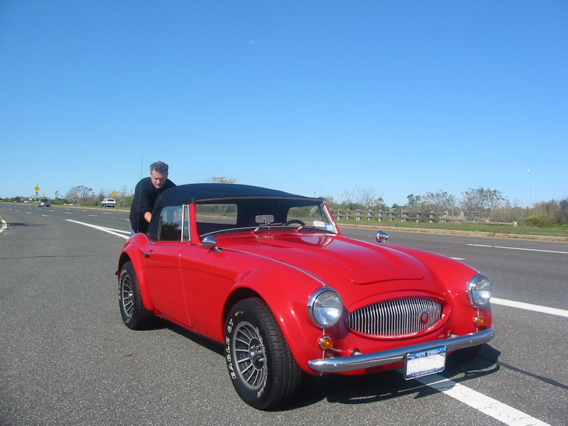 mysebring