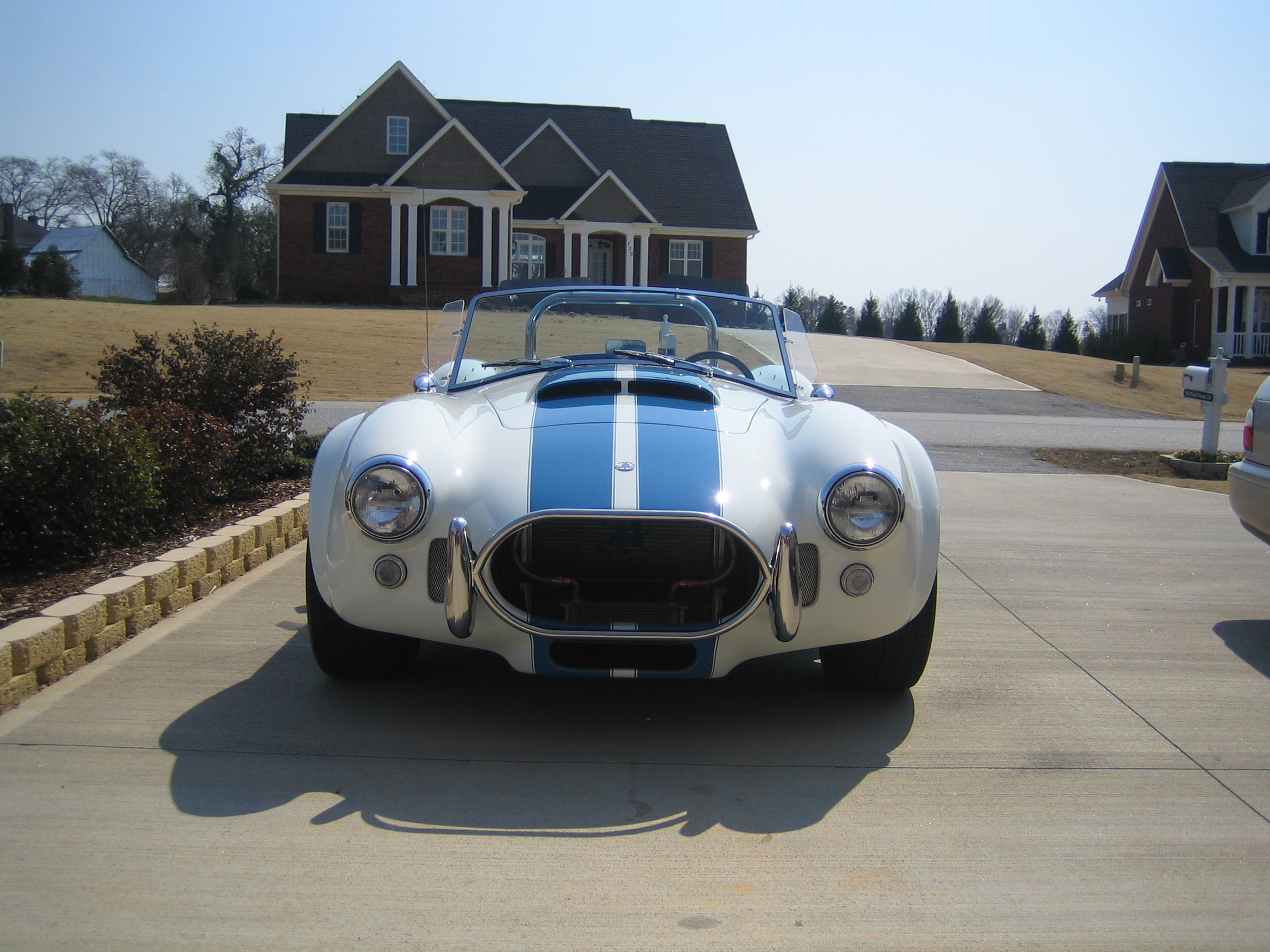 new_cobra_pictures_001