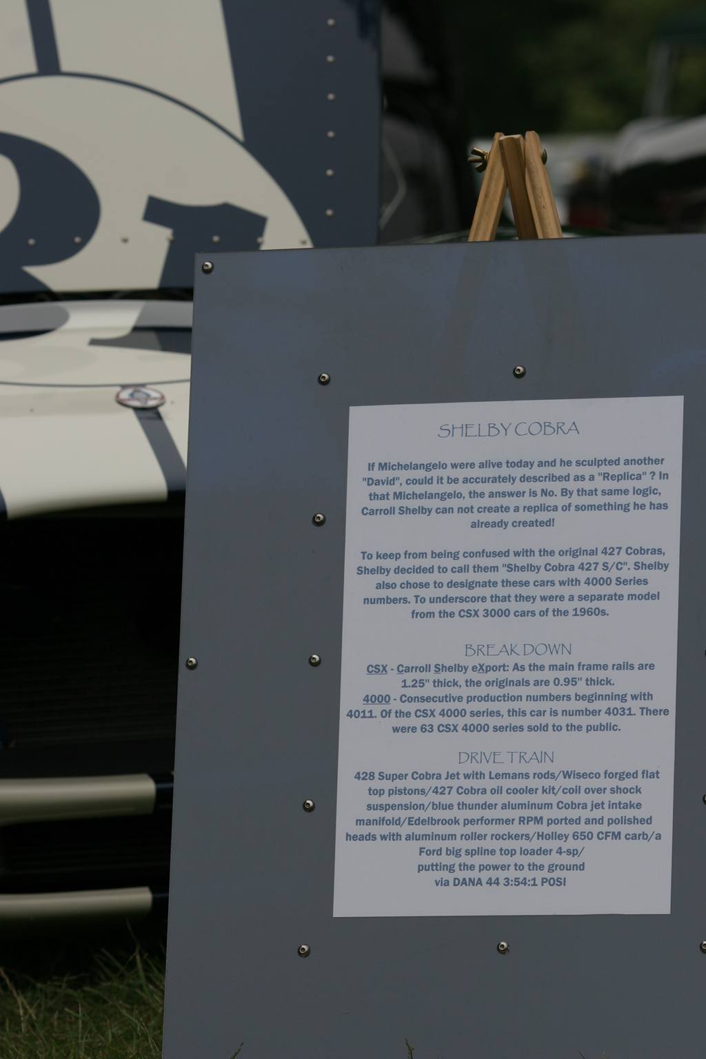 real_shelby_description