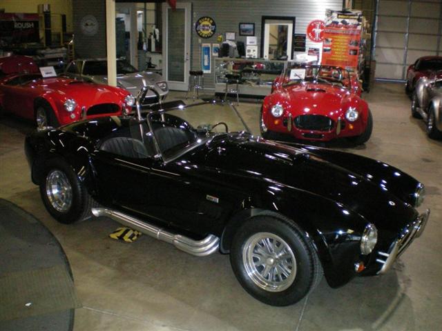 side_view_of_cobra_2_Small_