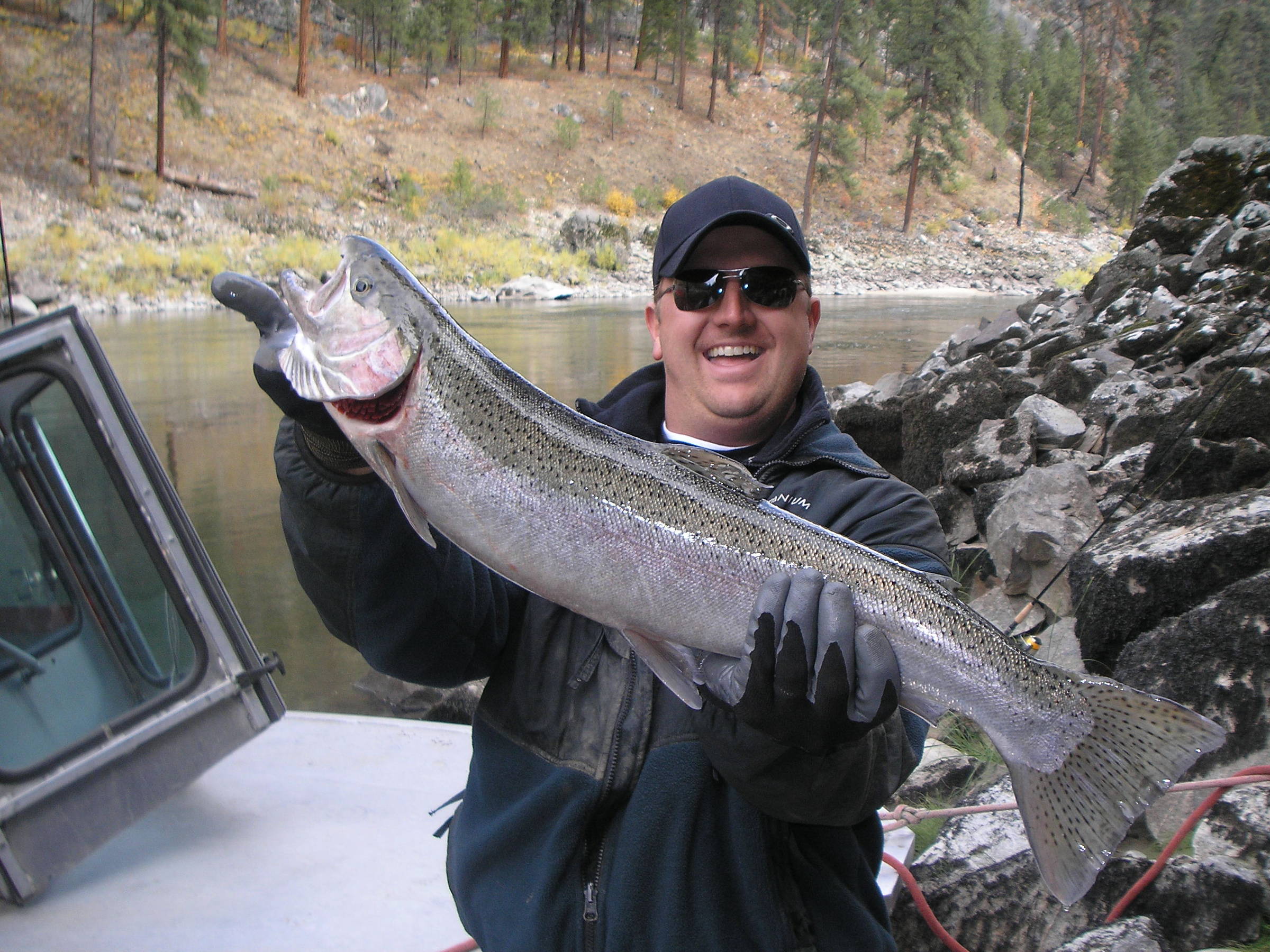 steelhead