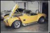 10326cobra20.jpg