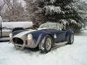 10618Cobra_in_snow.jpg