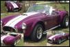 1066204-05-20012cobra.jpg