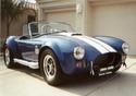 10826cobra_jpg_1.jpg