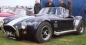 10874ac_cobra_2.jpg