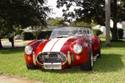 11025Cobra_In_Yard_004ac.jpg