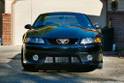 11677Mustang_straight_on_1.jpg