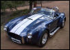 11679cobra_crop1.JPG