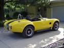 12048yellow_cobra_2.JPG