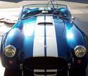 12182testcobra.jpg