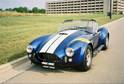 12379MY_COBRA_PIC_3.jpg