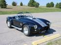 12592cobra_1.jpg