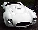 13144RonCobraBodyFront1.jpg