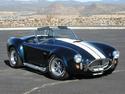 13527cobra1.jpg