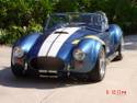 13961cobra6_smaller.jpg