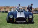 14064cobra_in_the_grass.jpg