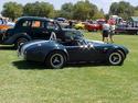 14064cobra_side_view.jpg