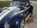 14258cobra_005.jpg