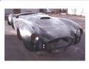 15446our_cobra_before_painting_1_-_small.jpg