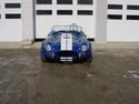 164485_blue_cobra_front.jpg