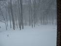 1663605-winter-1.JPG